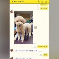 夜勤中、母がLINEで『犬の写真』を送ってきて…今日は帰ってこないことを悟った瞬間の『表情』が22万再生「切ない」「すぐ帰りたくなる」