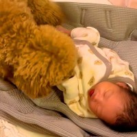 赤ちゃんが泣くと、心配した犬がすぐに駆け寄って…泣けるほど尊い『母親のような光景』が17万再生「最高のベビーシッター」「大好きなんだ」