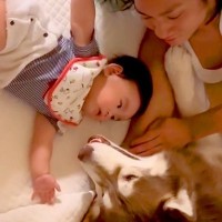 赤ちゃんが大型犬２匹と一緒に転がっていたら、突然泣き出して…まさかの『愛おしすぎる号泣の理由』に反響「幸せの集合体」「ヤバイ、可愛すぎ」