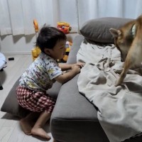 ソファでお昼寝していた小さい男の子が『犬に場所を取られた』結果→泣いちゃうかなと思ったら…予想外の展開が話題「たくましい」「奇跡的」