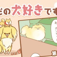 ただの犬好きです。【第328話】「帰省しました③」