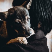 犬も『ペットロス』になることがある？　孤独や悲しみのサインと飼い主ができる寄り添い方