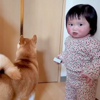 ママが外出→悲しそうに鳴く犬の横で、1歳の女の子が…想定外な『まさかのリアクション』が22万再生「温度差ｗｗ」「ふたりとも可愛い」と反響