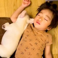 寝ている男の子に『赤ちゃん犬』が近づいて…涙が出るほど尊い『本当の兄妹のような光景』が22万再生「見てるだけで幸せ」「めちゃ可愛い…」