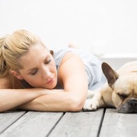 犬が『おとなしくしている』ときの心理5つ　行動に隠された意味や接し方のポイントを解説