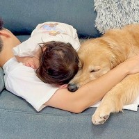 疲れてソファで寝ているパパに『1歳の女の子と2匹の犬』が…破壊力が高すぎる『休憩中の光景』が52万再生「尊い…」「なんて幸せ家族」と反響