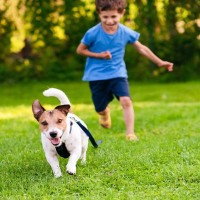 犬が飼い主から『逃げまわる』5つの心理　考えられる原因から接し方のポイントまで解説