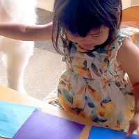 折り紙であそぶ3歳の女の子→超大型犬がイタズラしようとしたら…手慣れ過ぎている『衝撃の対処法』に5万いいね「ノールックで草」「笑った」