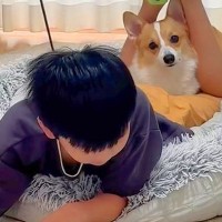 夏休み最終日、宿題をやる男の子→犬が寄り添ってきて…ずっと続いてほしい『お勉強の光景』が63万再生「尊い…」「家族愛にほっこり」と絶賛