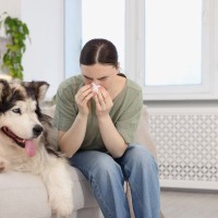『抜け毛が多い犬』と暮らすときの注意点3つ　習慣にしたいケア方法や掃除のコツ