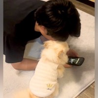 彼氏と犬を会わせた結果→『自分の彼氏だ』と思い込んで…人間すぎる『まさかの行動』が583万再生「喋りだしそうｗ」「完全に彼女で草」と絶賛