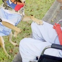 入院中の車椅子おじいちゃんが『犬に会いたい』と院長に懇願して…感動的な『再会の瞬間』に反響「何よりの薬ですね」「嬉しそうで素敵」