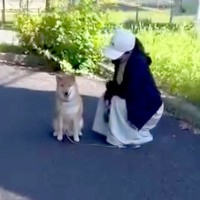家では犬に吠えられているパパ→道でいきなり会ったらどうなるのか検証した結果…思いもよらない『まさかの展開』が22万再生「ツンデレｗ」