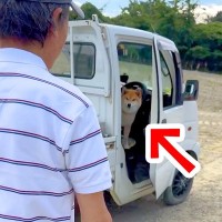 車で『大好きなおじいちゃん』を待つ犬→会えた瞬間に…たまらなく愛おしい『再会時のリアクション』が15万再生「目がキラキラ」「いい笑顔」