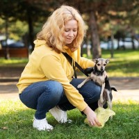 犬が病気かもしれないときにする『ウンチの形状』4選　注意すべき状態や腸内環境を整えるコツまで