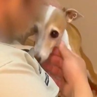 1年前『排水管洗浄の業者さん』に仲良くしてもらった犬→久々の再会でも顔を覚えていて…愛おしい光景と『お別れの瞬間』に反響「ほっこりした」