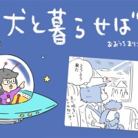 犬と暮らせば【第507話】「犬の値段」
