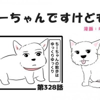 ちーちゃんですけどもっ【第328話】「ちーちゃんの走る意義」
