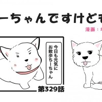 ちーちゃんですけどもっ【第329話】「神話みたいなちーちゃん」