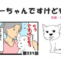 ちーちゃんですけどもっ【第331話】「シニア犬とのお昼寝」