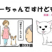 ちーちゃんですけどもっ【第333話】「ちーちゃんのお友達」