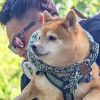 登山中、犬を穴から引っ張り上げた男性→石につまずいてしまい…思いがけない『奇跡の1枚』に12万いいね集まる「完全一致で草」「愛感じる」