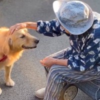 散歩中に『おばあちゃん』と久しぶりに会った大型犬→ふたりでお話をして…思わず涙が出る『心温まる光景』が38万再生「なんて尊いの…」と感動