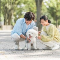 あなたの犬を『一番幸せにする』方法3選　愛犬が最高の生活を送るためのポイントや飼い主が改善すべきことまで