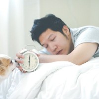 犬が朝早くに『起こしてくる』理由4選　早起きの原因や止めさせるための対策まで解説