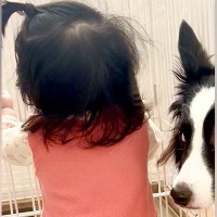 ハイハイしかできなかった赤ちゃんが『つかまり立ち』をした瞬間…隣にいた犬の『驚きすぎている表情』に8万いいね「顔ｗｗ」「焦ってて可愛い」