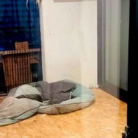 家に帰ったら『中庭にいるはずの大型犬』が行方不明に→リビングに行くと…『想定外の光景』が14万再生「何故ｗｗ」「顔が可愛くて笑う」と反響