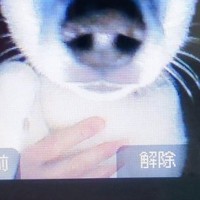 インターホンに保存された『犬の写真』を見てみたら…治安が悪すぎる『まさかの表情』に3万いいね集まる「超極悪顔で草」「絶対居留守使うw」