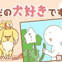 ただの犬好きです。【第329話】「帰省しました④」