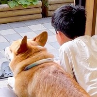 お休みの日、男の子と犬が窓際で…まるで血のつながった兄弟のような『尊すぎる光景』が66万再生「表情が愛おしい」「なんて幸せな時間」と絶賛