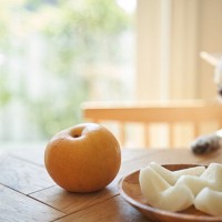 愛犬と一緒に味わえる『秋の味覚』5選　与えるメリットや量の目安、注意すべきことまで