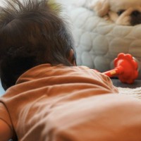 生まれたばかりの赤ちゃんに寄り添う犬→あまりにも尊い『一番近くで見守る光景』が17万表示「感動して泣いちゃう」「後頭部可愛すぎ」と絶賛