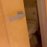 叱ったらトイレへ向かった犬→『ひとりで反省してるのかな』と思ったら…絶句する『衝撃の仕返し』が72万再生「職人の速さで草」「許すｗｗ」