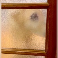 お風呂掃除が終わり、部屋に戻ると『寝ていた盲目の犬』が…泣けるほど尊い『お出迎え』が55万再生「泣けてきた」「愛情たっぷりの笑顔」と絶賛