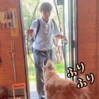 学校から帰ってきたお兄ちゃん→玄関をまたいだ瞬間、2匹の大型犬が…尊すぎる『全力のおかえりなさい』に反響「心が温まる」「羨ましい」