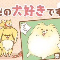 ただの犬好きです。【第330話】「帰省しました⑤」