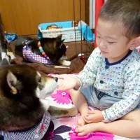 男の子が生まれてから『ずっとそばにいてくれた犬』が亡くなり…涙が止まらない『尊い記録』が14万再生「犬は大切なことを教えてくれる」と反響
