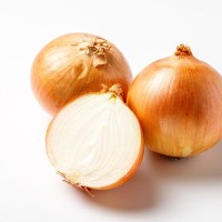 犬が食べると死ぬ可能性のある『食品』５選　誤食した場合の危険な症状や早急にすべき対処法まで