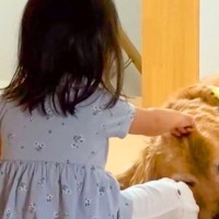 子供3人のお昼寝中、部屋の外で待つ大型犬→次女だけ先に起きてきて…あまりにも尊い『ふたりきりの時間』に反響「愛だなあ…」「微笑ましい」