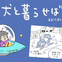 犬と暮らせば【第508話】「パリ、最初のミッション」