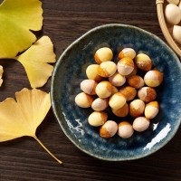 犬が『銀杏』を拾い食いすると危険な理由　飼い主ができる防止策や食べたときの対処法