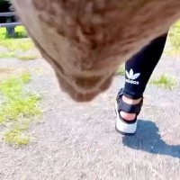 犬の胸に『カメラを設置した』結果→遊んでいる途中で…思わず泣けてくる『まさかの光景』が17万再生「愛が溢れてる」「ずっと幸せでいて」