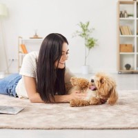 犬が『飼い主の髪を食べてしまう』理由５つ　止めさせた方がいいの？飲み込んだときに起こる愛犬への悪影響とは