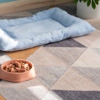 犬の『置き餌』が危険な理由3つ　起こりうる健康トラブルから取り入れたい予防策まで