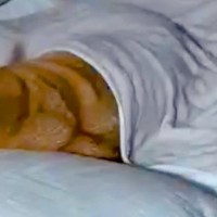 同居人から『先に寝てる』とLINE→帰宅後、リビングを見てみたら…衝撃的な『まさかの状況』に4万いいね「表情が尊い」「可愛すぎｗ」と反響