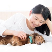 犬が飼い主に『添い寝』する心理4選　一緒に寝たがる理由や寝床を共にする注意点まで